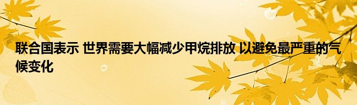 联合国表示 世界需要大幅减少甲烷排放 以避免最严重的气候变化