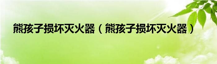 熊孩子损坏灭火器（熊孩子损坏灭火器）