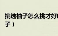 挑选柚子怎么挑才好吃（怎样挑选到好吃的柚子）