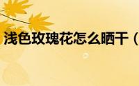 浅色玫瑰花怎么晒干（浅色玫瑰花如何晒干）