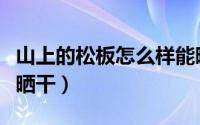 山上的松板怎么样能晒干了（山上的松板如何晒干）