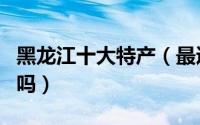 黑龙江十大特产（最适合送人的特产你选对了吗）