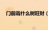 门前栽什么树旺财（门前旺财栽什么树）