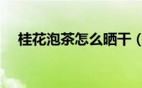 桂花泡茶怎么晒干（桂花泡茶如何晒干）