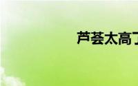芦荟太高了怎么截断