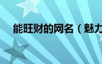 能旺财的网名（魅力励志的旺财的网名）