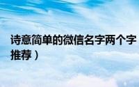 诗意简单的微信名字两个字（两个字的诗意简单的微信名字推荐）