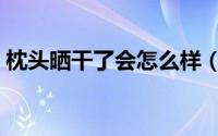 枕头晒干了会怎么样（枕头晒干了会如何呢）
