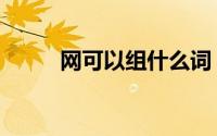 网可以组什么词（网能组什么词）