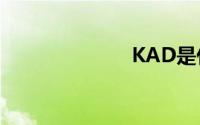 KAD是什么车？