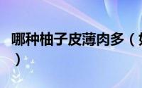 哪种柚子皮薄肉多（如何挑选皮薄肉多的柚子）