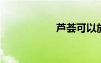 芦荟可以放在卧室吗