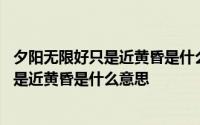 夕阳无限好只是近黄昏是什么意思表达了什么 夕阳无限好只是近黄昏是什么意思 