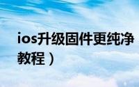 ios升级固件更纯净（iOS固件升级版本辨别教程）