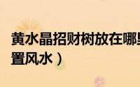 黄水晶招财树放在哪里（黄水晶发财树摆放位置风水）