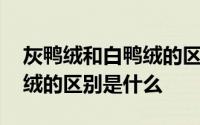 灰鸭绒和白鸭绒的区别是什么 灰鸭绒和白鸭绒的区别是什么 