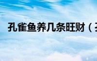 孔雀鱼养几条旺财（孔雀鱼养多少条旺财）