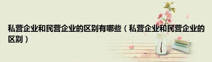 私营企业和民营企业的区别有哪些（私营企业和民营企业的区别）