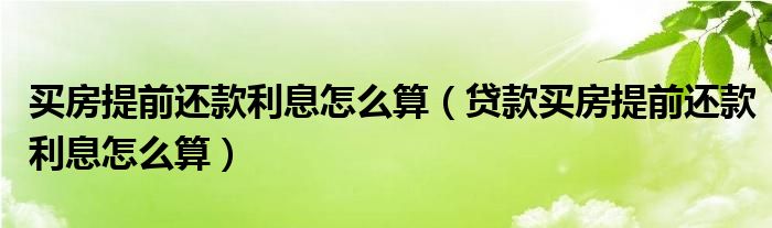 买房提前还款利息怎么算（贷款买房提前还款利息怎么算）