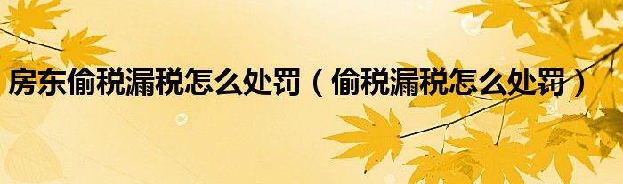 房东偷税漏税怎么处罚（偷税漏税怎么处罚）