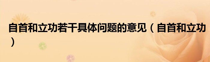 自首和立功若干具体问题的意见（自首和立功）