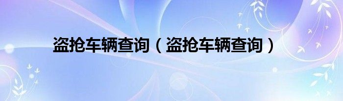 盗抢车辆查询（盗抢车辆查询）