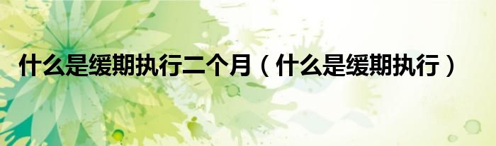  什么是缓期执行二个月（什么是缓期执行）