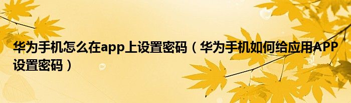 华为手机怎么在app上设置密码（华为手机如何给应用APP设置密码）