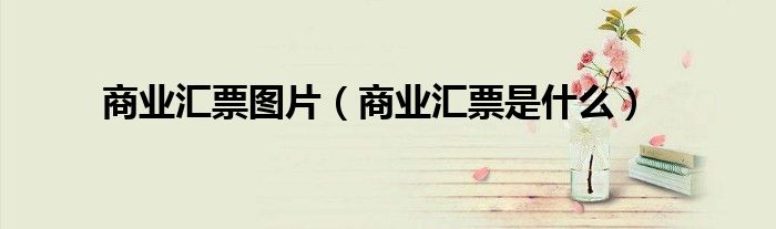 商业汇票图片（商业汇票是什么）