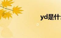 yd是什么车牌？