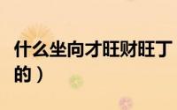 什么坐向才旺财旺丁（旺财旺丁的运是怎么养的）