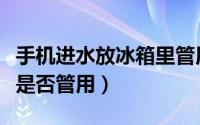 手机进水放冰箱里管用吗（手机进水放冰箱里是否管用）