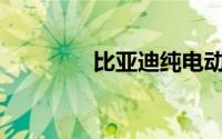 比亚迪纯电动汽车有哪些？