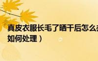 真皮衣服长毛了晒干后怎么办（真皮衣服长毛了晒干后发霉如何处理）