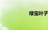 绿宝叶子一碰就掉