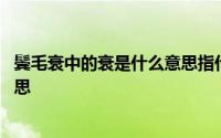 鬓毛衰中的衰是什么意思指什么动物 鬓毛衰中的衰是什么意思 