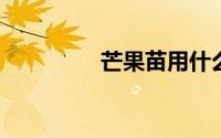 芒果苗用什么肥料长得快