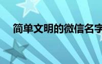 简单文明的微信名字（简单干净微信名）