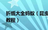 折纸大全蚂蚁（昆虫折纸—蚂蚁的折纸图解教程）