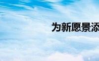 为新愿景添加什么油？