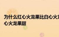 为什么红心火龙果比白心火龙果要甜 为什么红心火龙果比白心火龙果甜 