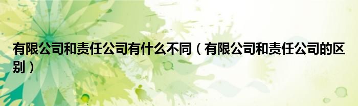 有限公司和责任公司有什么不同（有限公司和责任公司的区别）