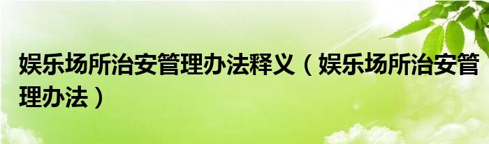 娱乐场所治安管理办法释义（娱乐场所治安管理办法）