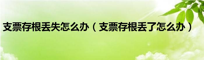 支票存根丢失怎么办（支票存根丢了怎么办）