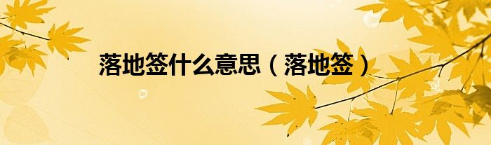 落地签什么意思（落地签）
