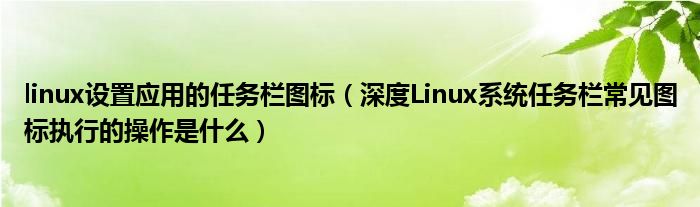 linux设置应用的任务栏图标（深度Linux系统任务栏常见图标执行的操作是什么）