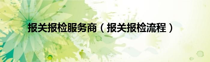 报关报检服务商（报关报检流程）