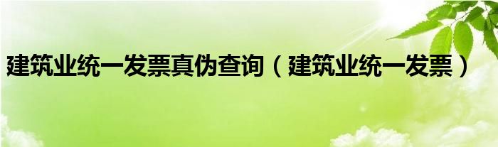 建筑业统一发票真伪查询（建筑业统一发票）