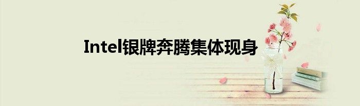Intel银牌奔腾集体现身