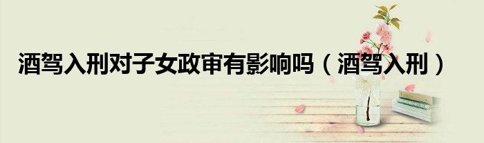 酒驾入刑对子女政审有影响吗（酒驾入刑）